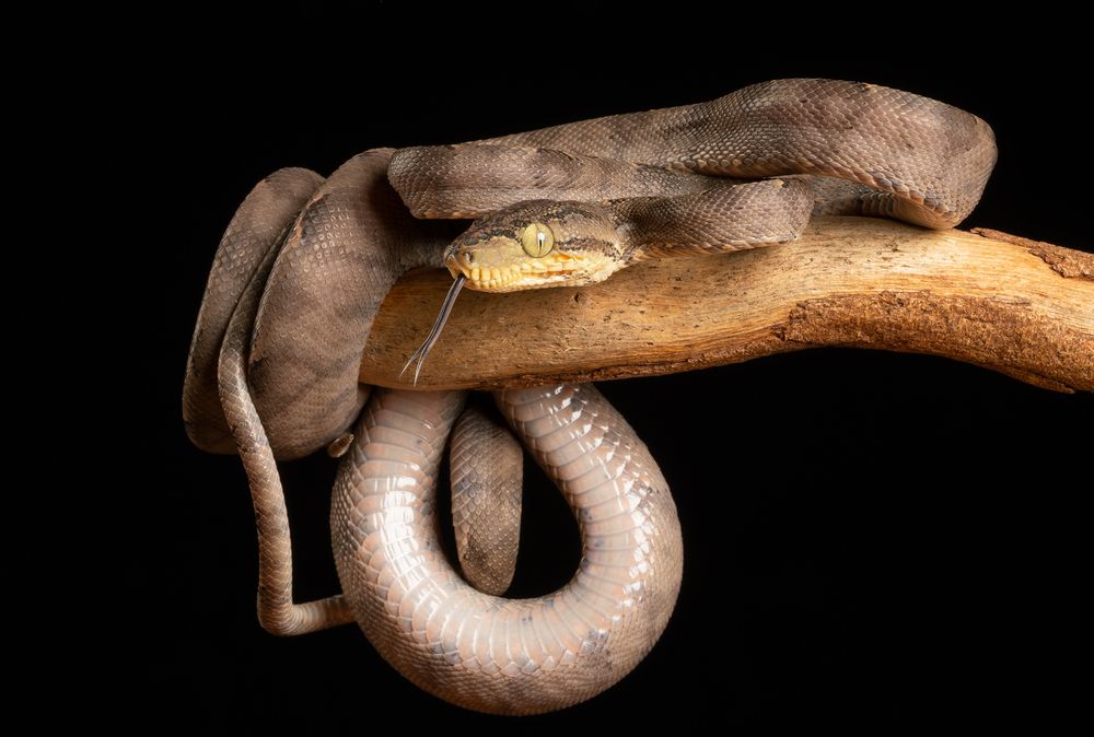 Фотография автора MARIA KULA