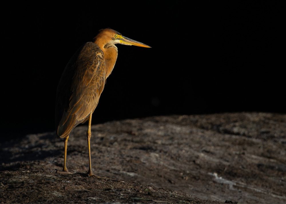 Photograph by Mohamed Badran