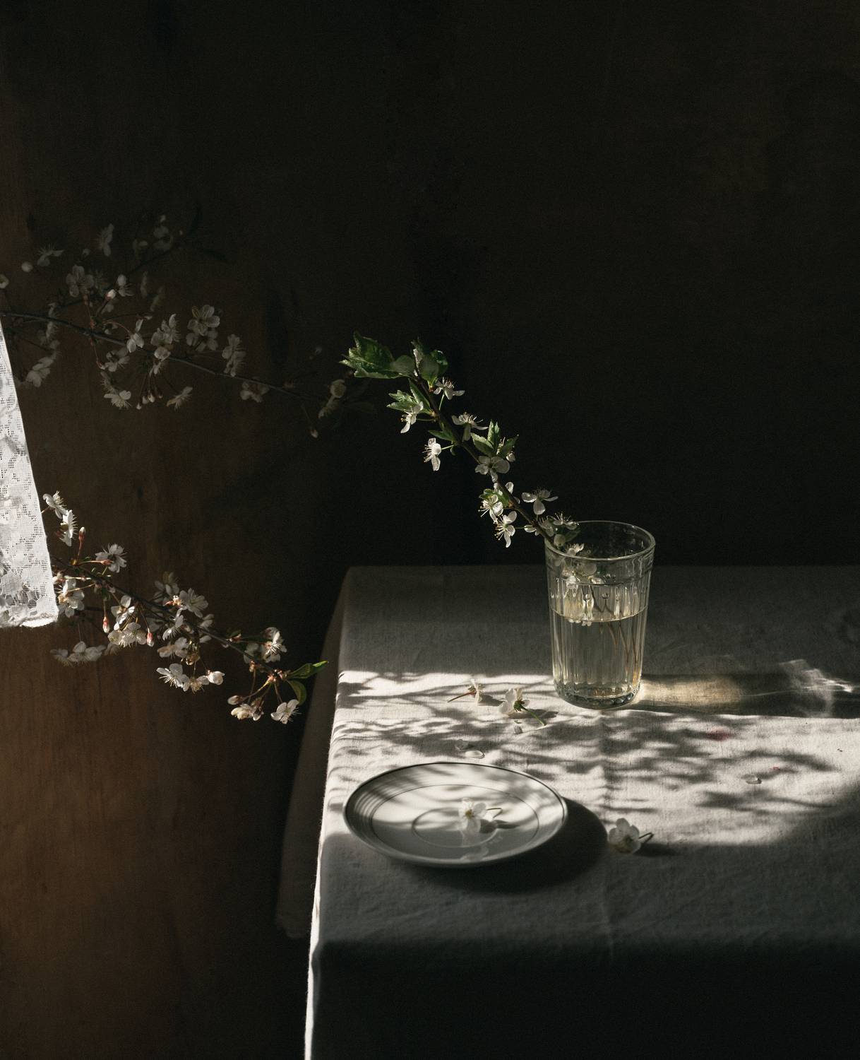 Фотография #11994656