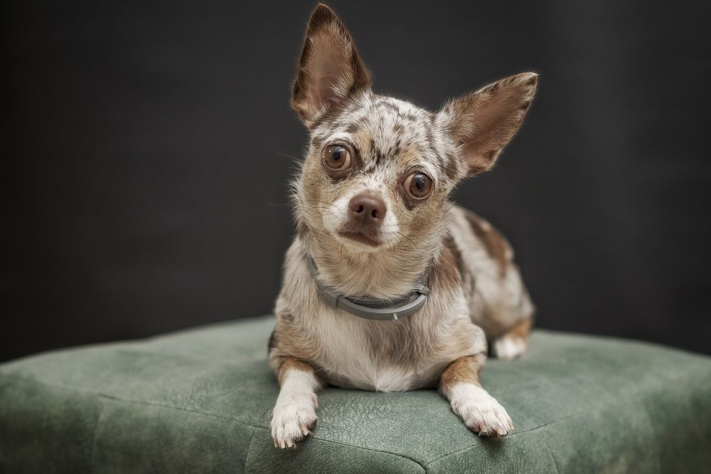 Photograph by Демьян Лопатов