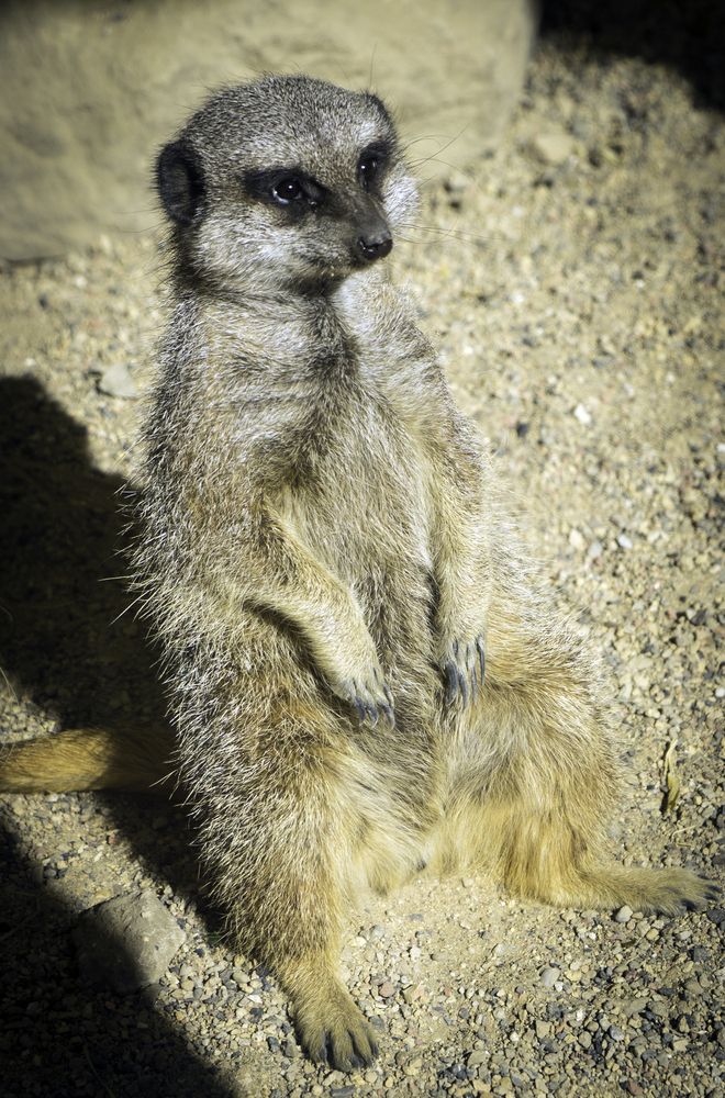 Photograph by Dmitrijs Zigilijs