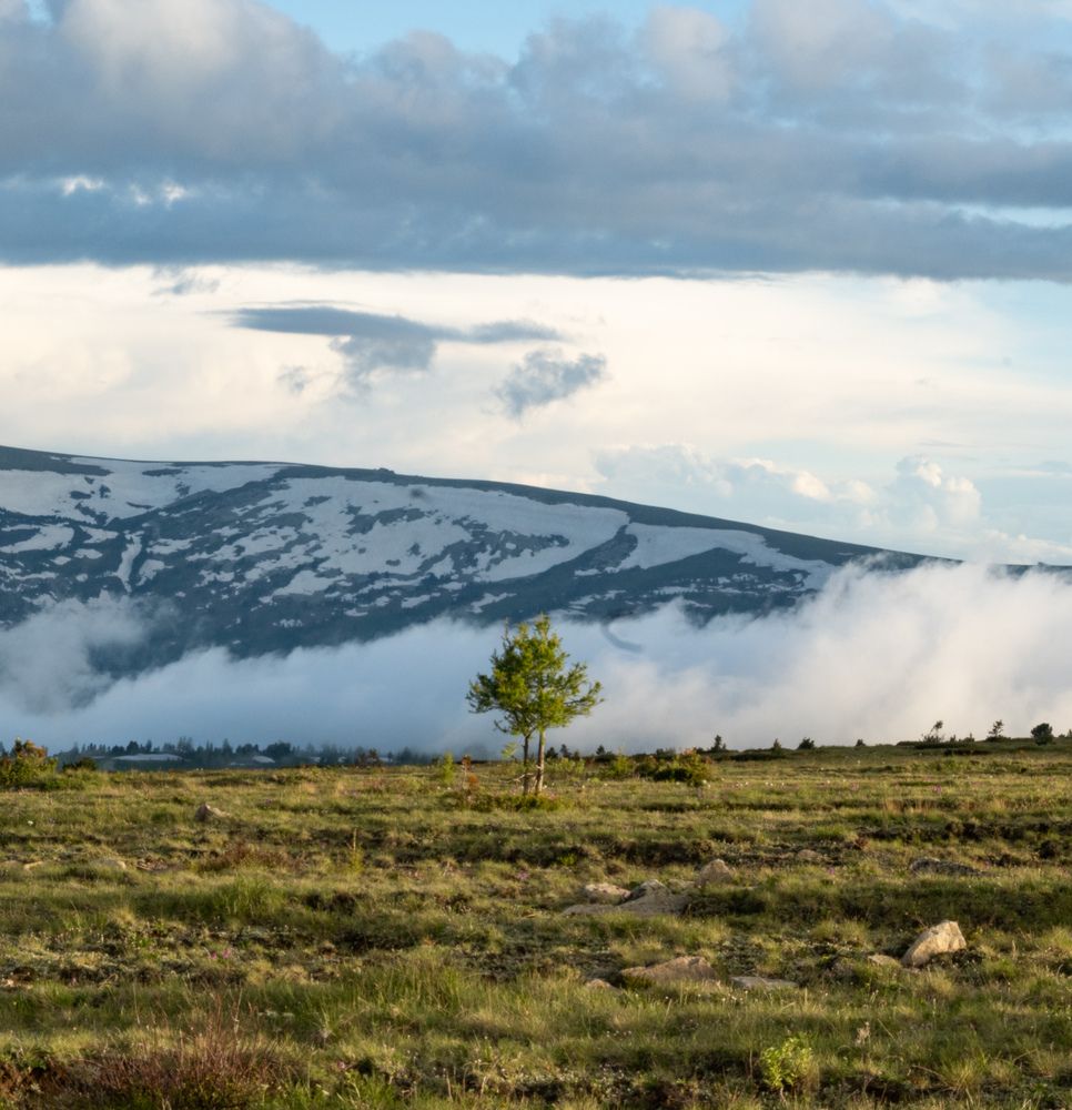 Photograph by Polina Latypova