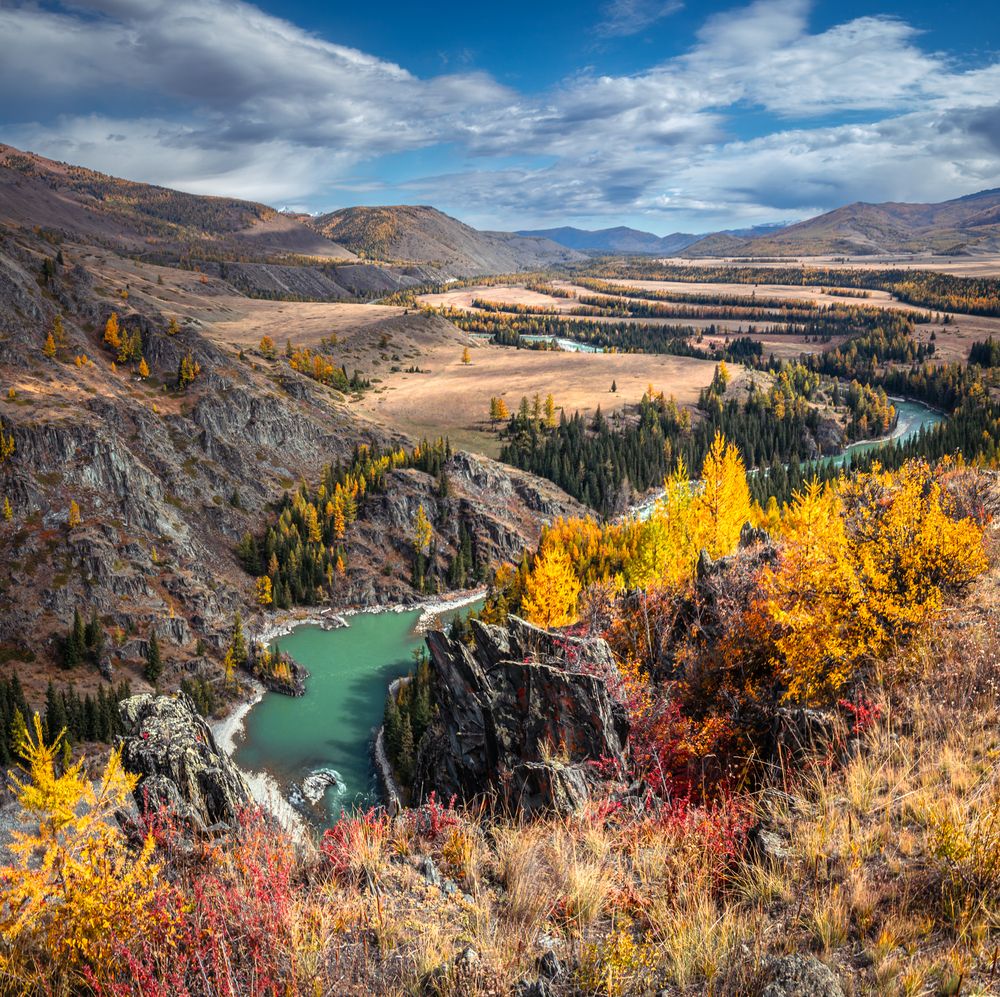 Photograph by Devender Mark