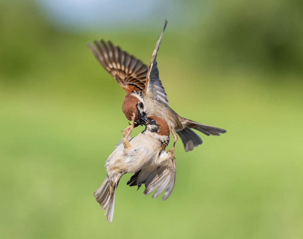 Photograph by Наталья