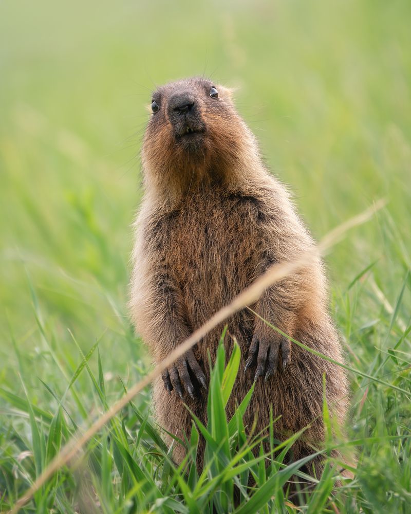 Photograph by Дудников Александр