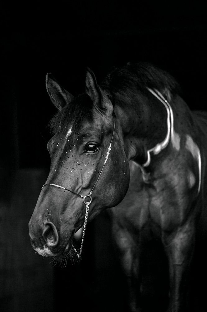 Photograph by Любовь Похабова