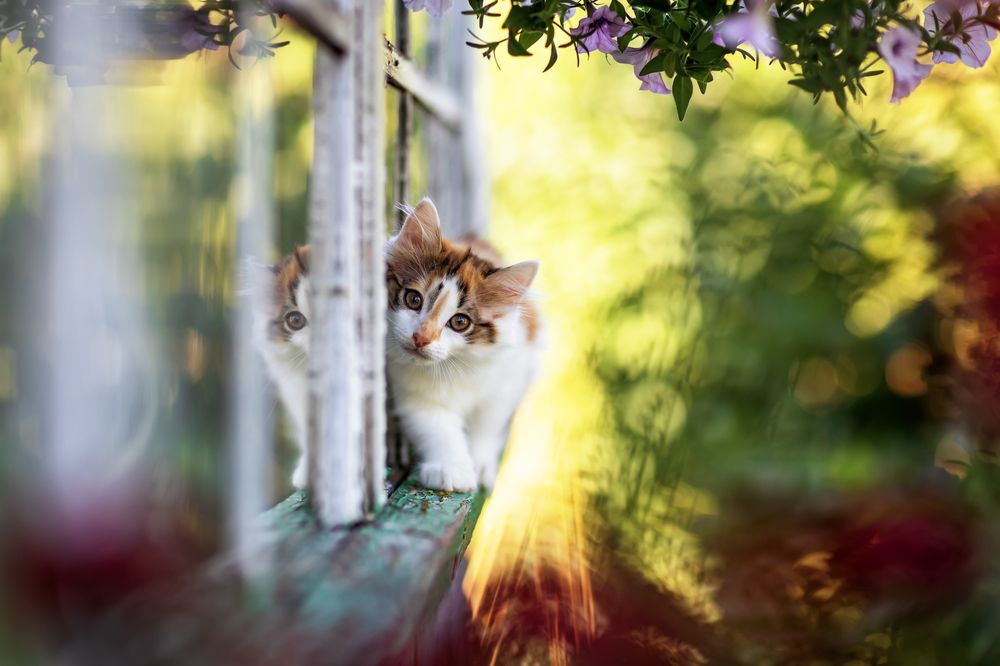 Photograph by Наталья