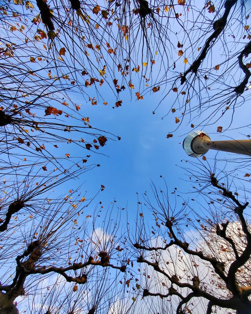 Фотография автора Василий Рябовол