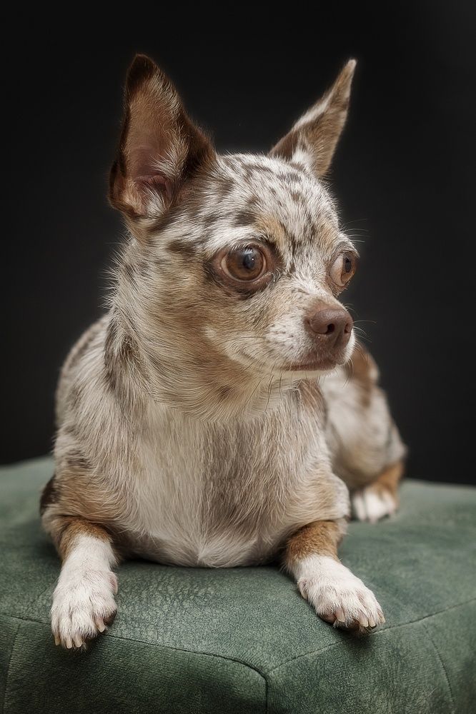 Photograph by Демьян Лопатов