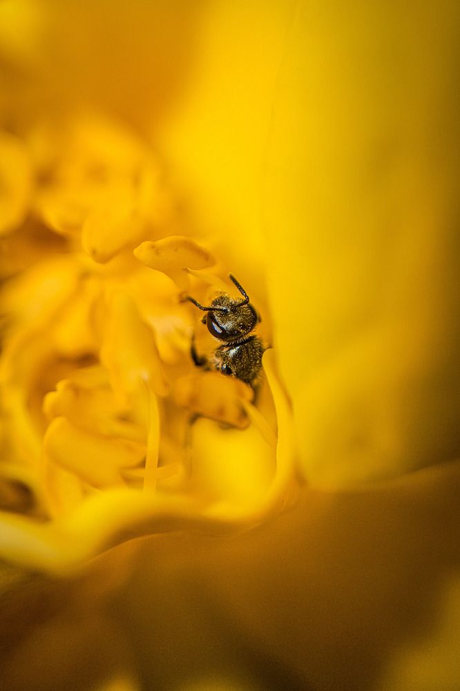 Photograph by Fernando Gabriel Castro Ortiz