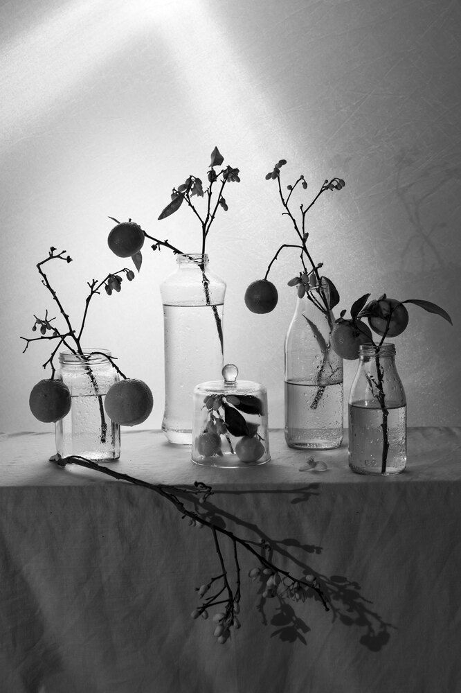 Photograph by Анастасия Тимарг