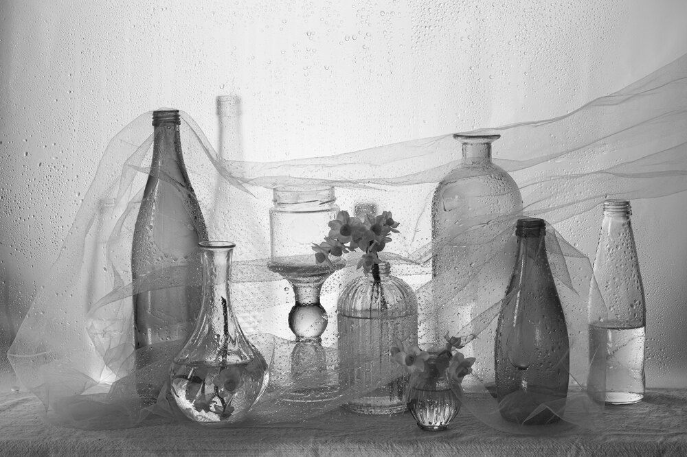 Photograph by Анастасия Тимарг