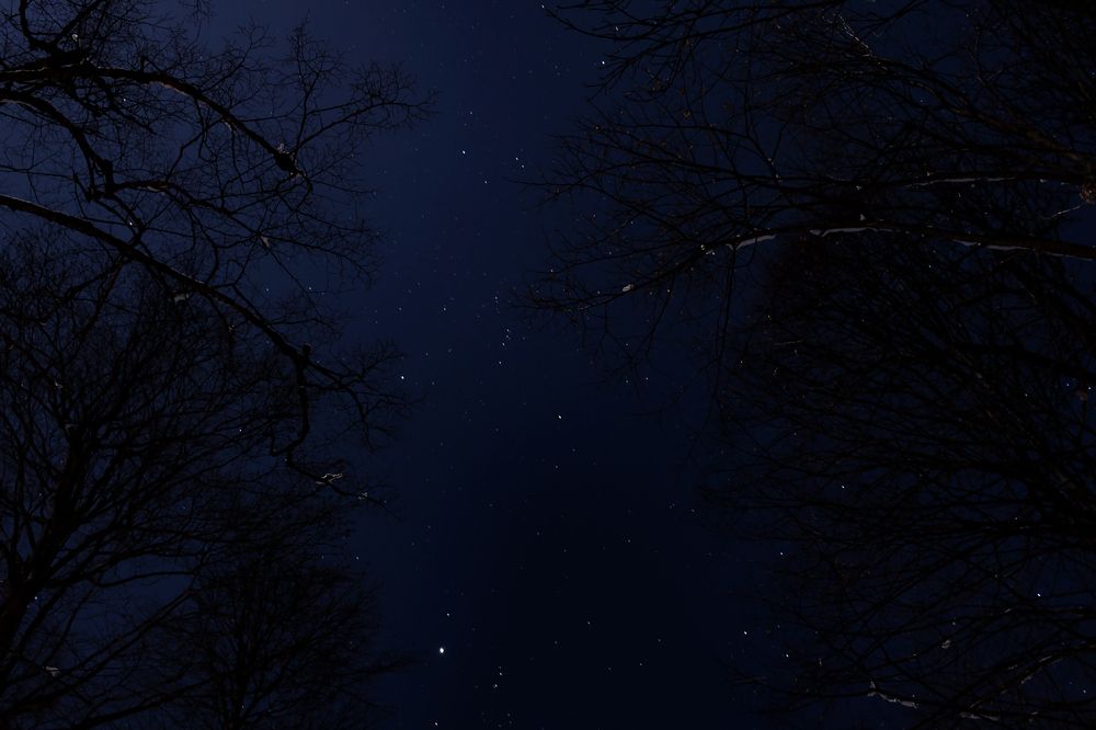 Photograph by Ольга Богданова