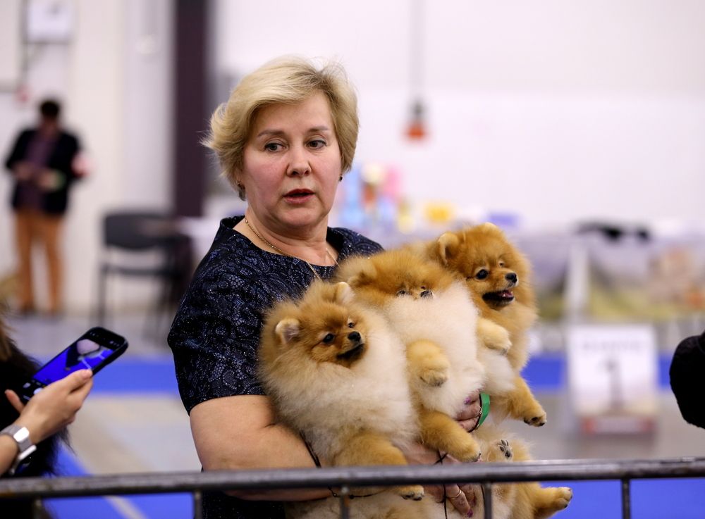 Photograph by Унку Юрий