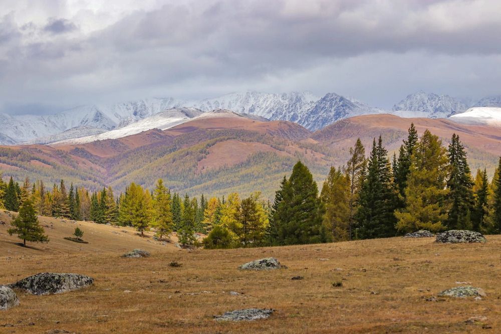 Photograph by Елена Данченко