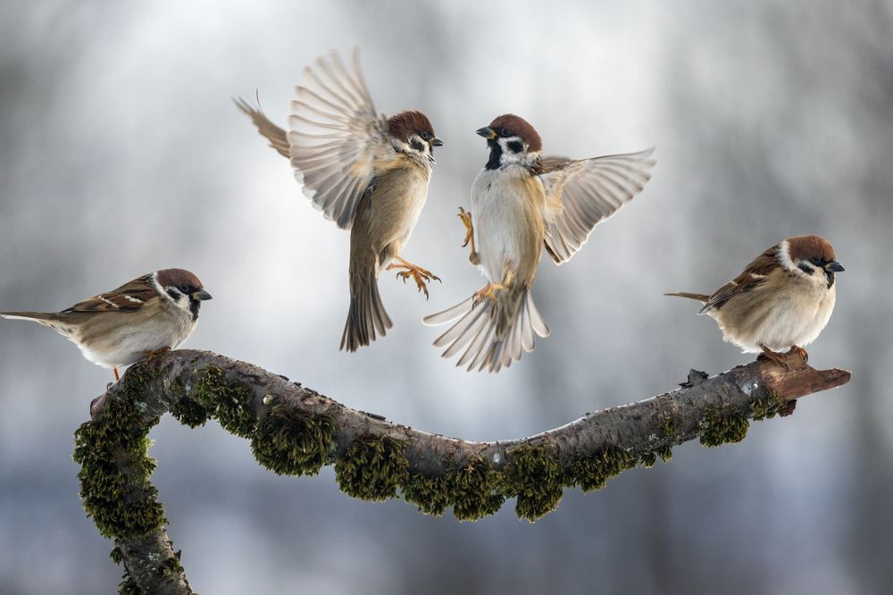 Photograph by Наталья