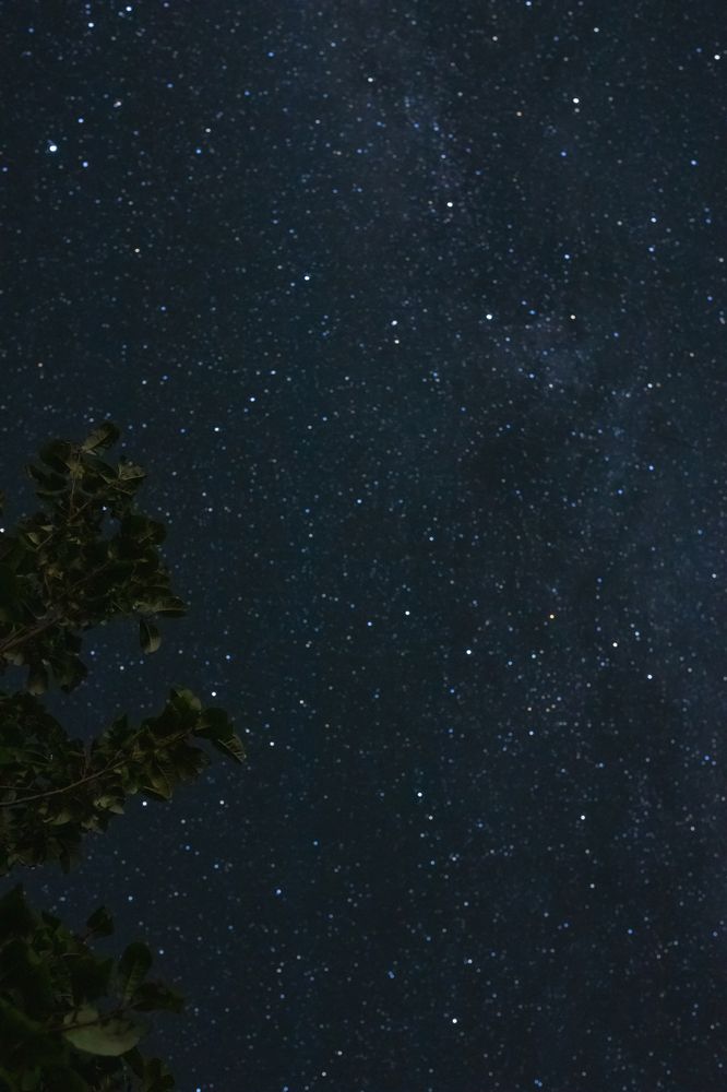 Photograph by Лилия Гарипова