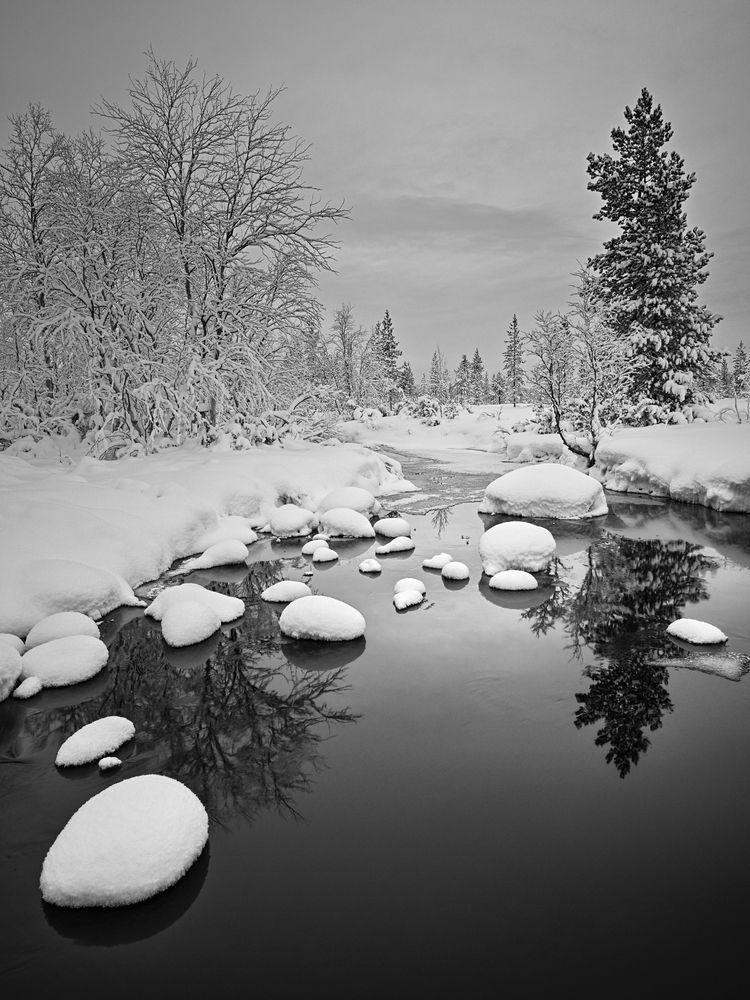 Photograph by Артем Явтушенко