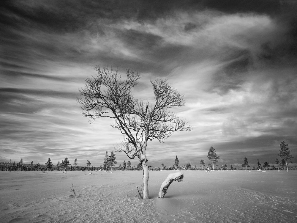 Photograph by Артем Явтушенко