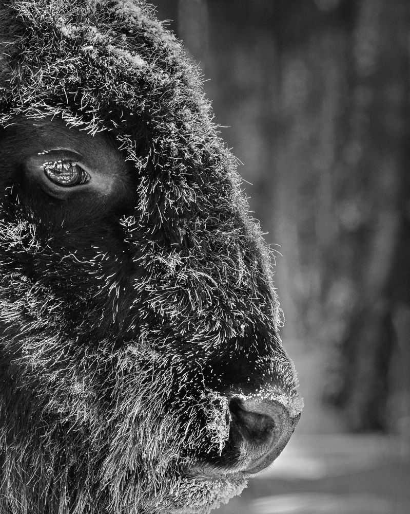 Photograph by Артем Явтушенко