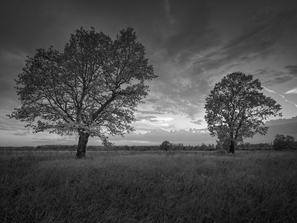 Photograph by Артем Явтушенко