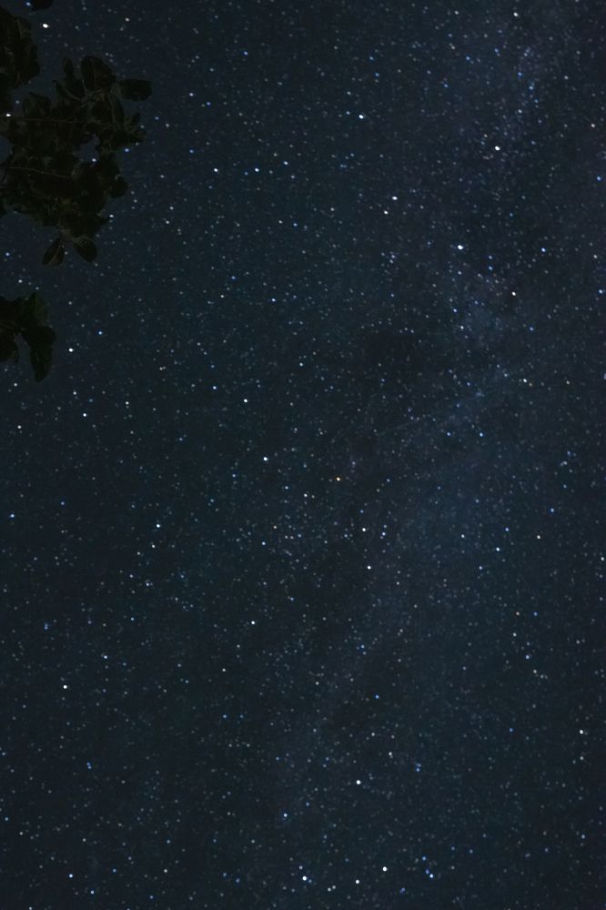 Photograph by Лилия Гарипова