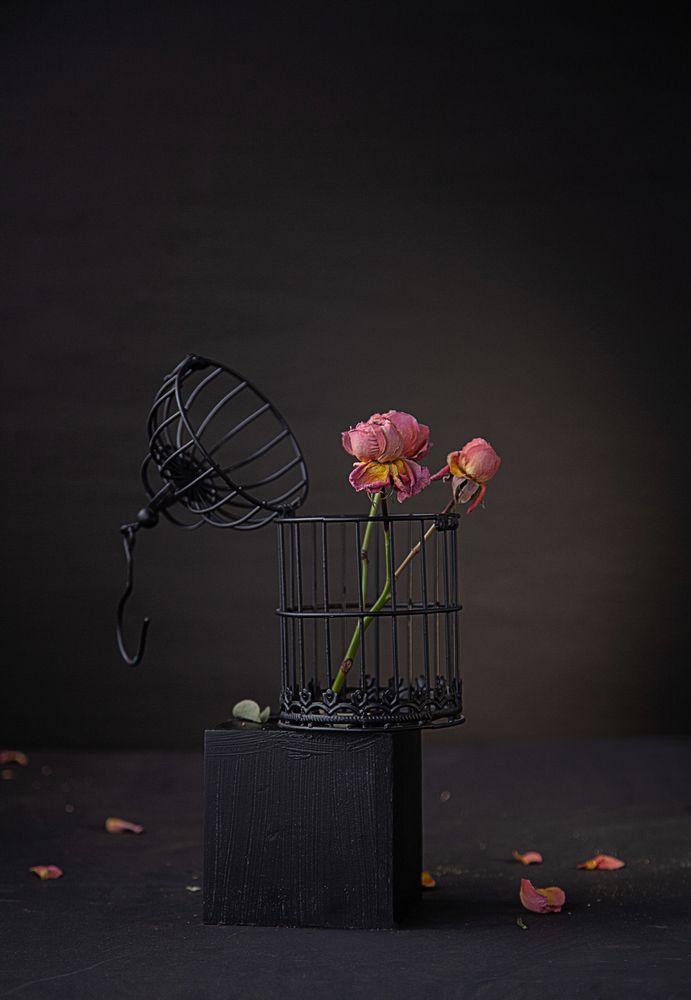 Photograph by Светлана Кавказская