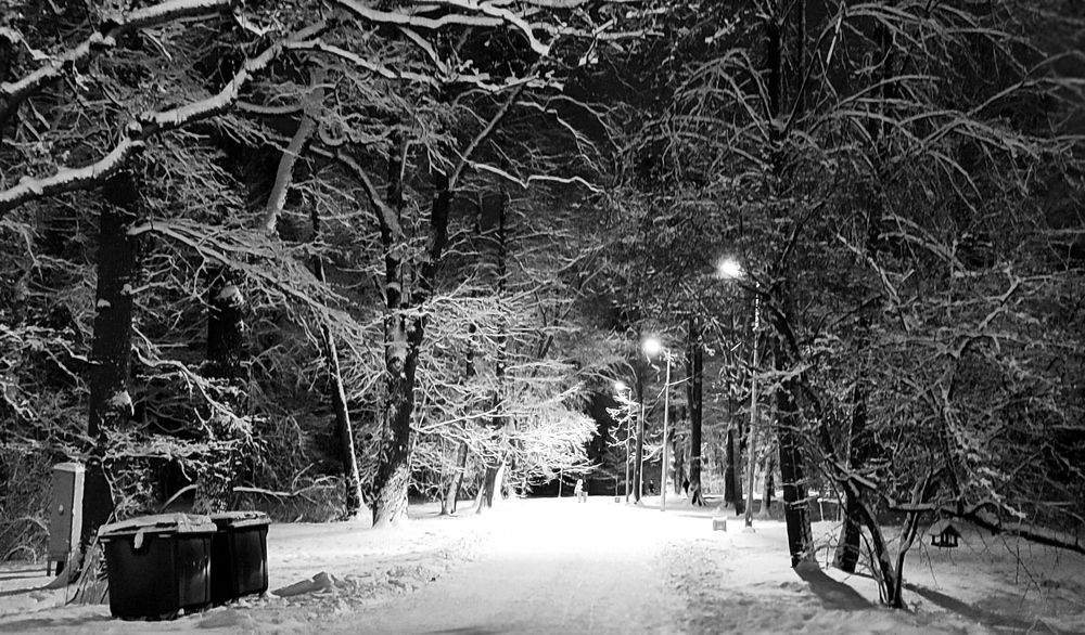 Photograph by Сергей Никифоров