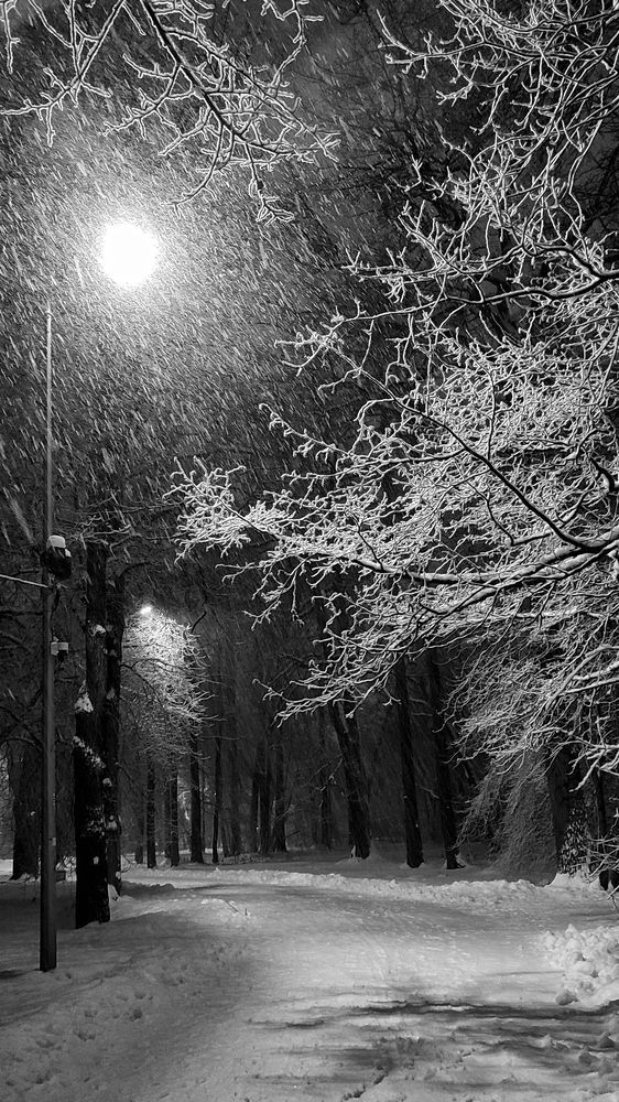 Photograph by Сергей Никифоров