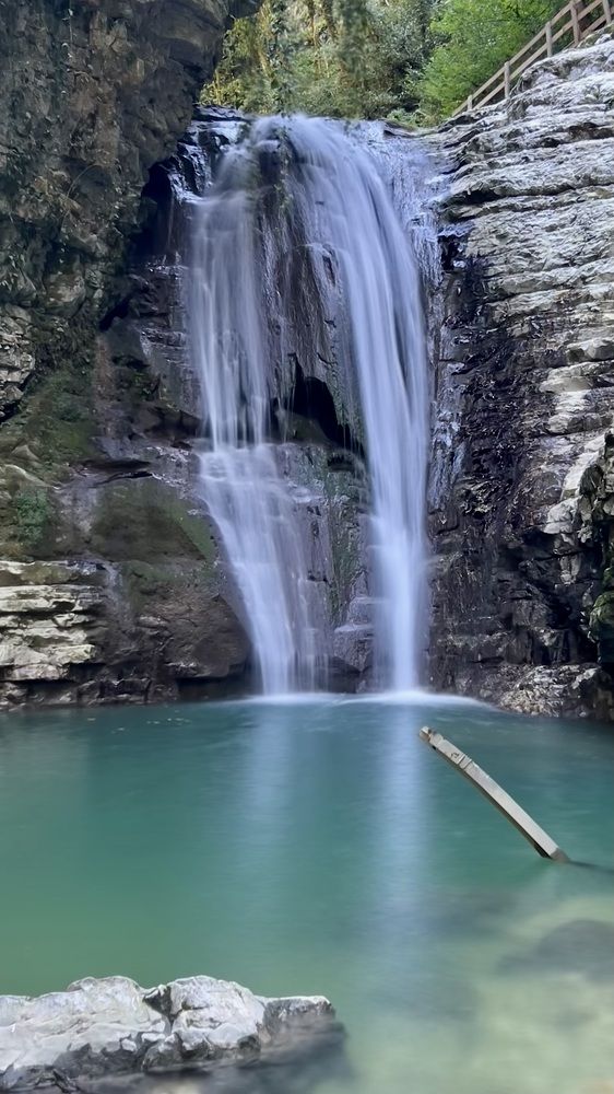 Фотография автора Юлия Недосекина