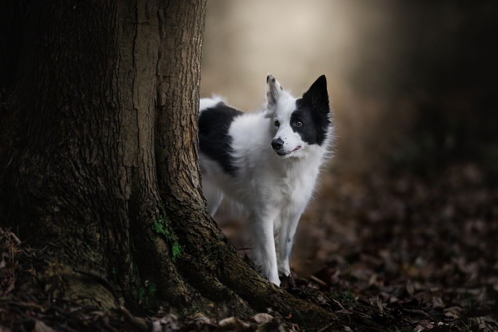 Photograph by Alfonso Maseda Varela