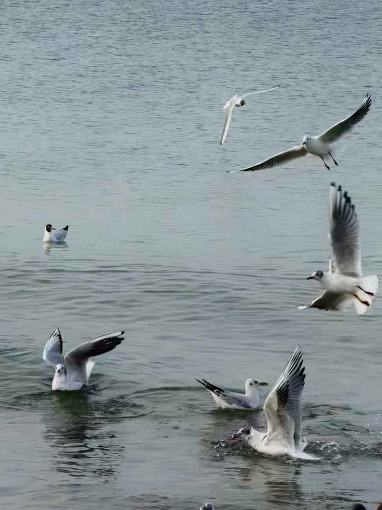 Photograph by Юлия Медведева