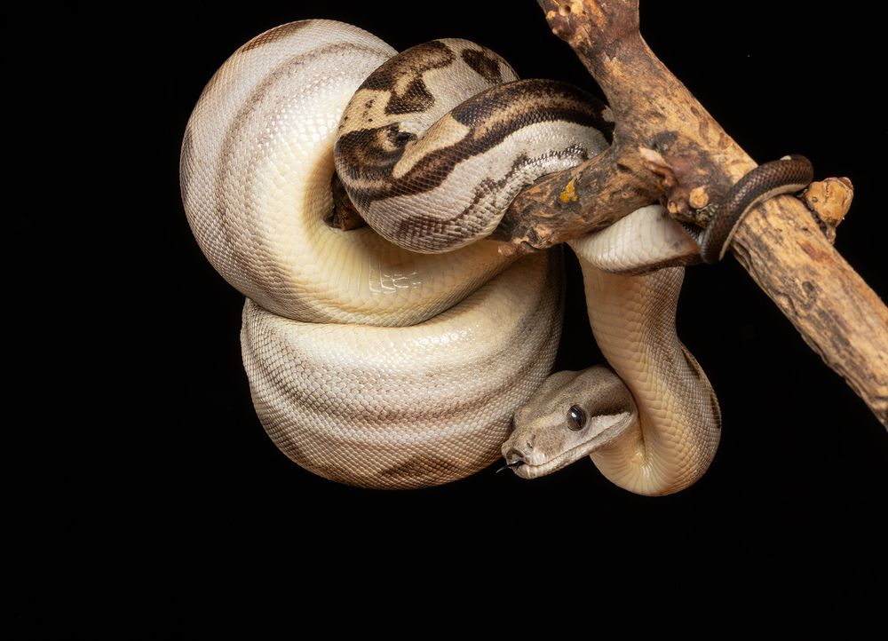 Фотография автора MARIA KULA