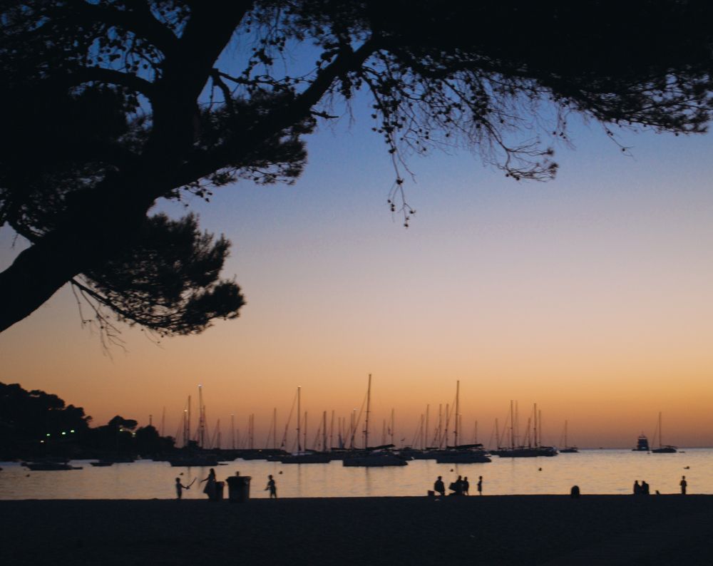 Photograph by Марина Георгиева