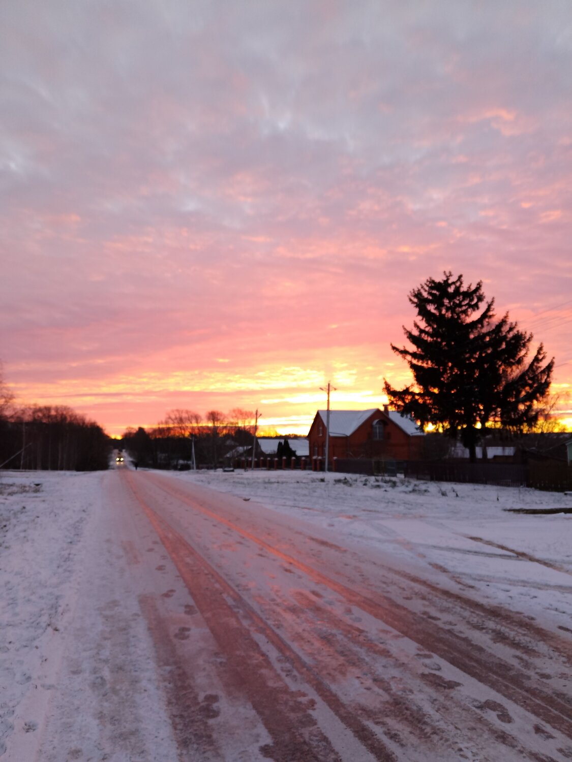Photo #11995093