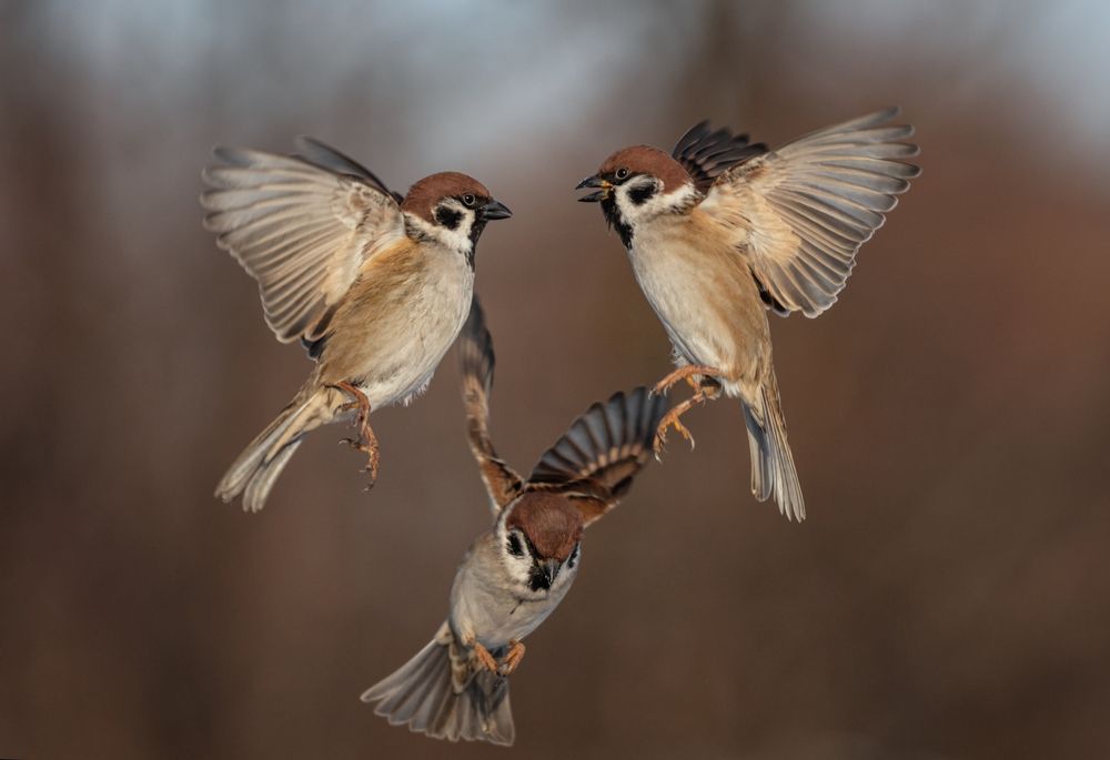 Photograph by Наталья