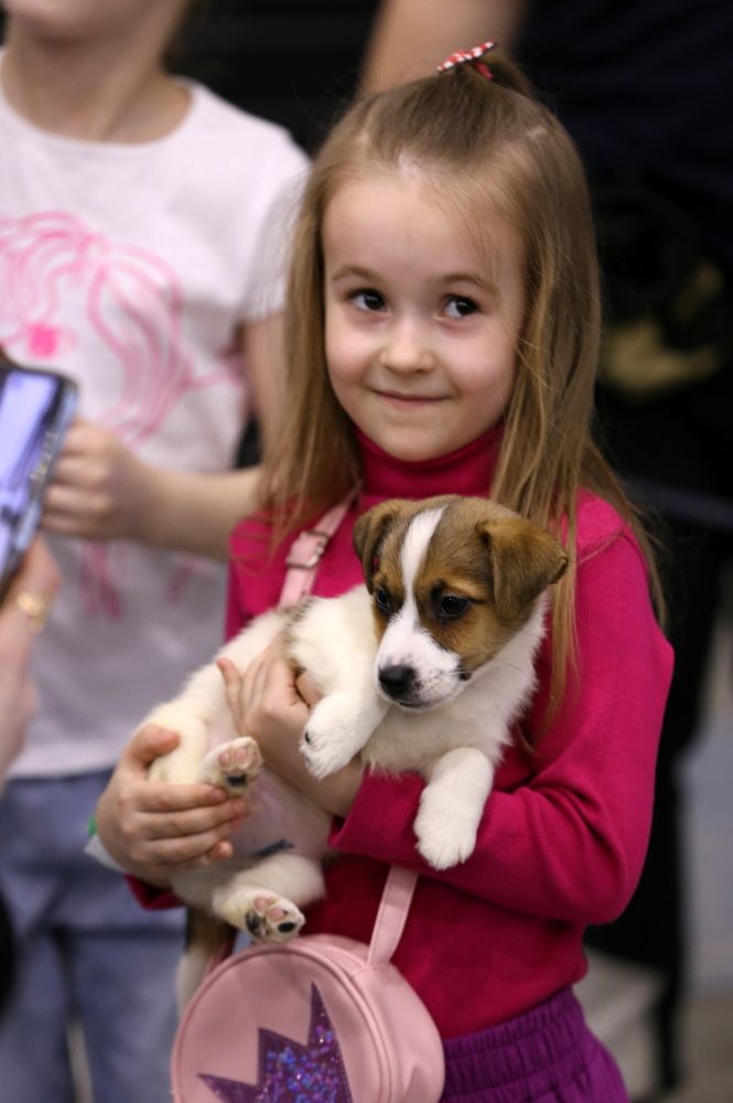 Photograph by Унку Юрий