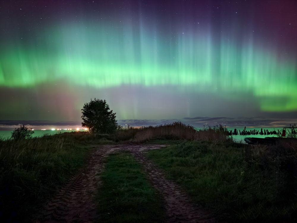 Photograph by Алексей