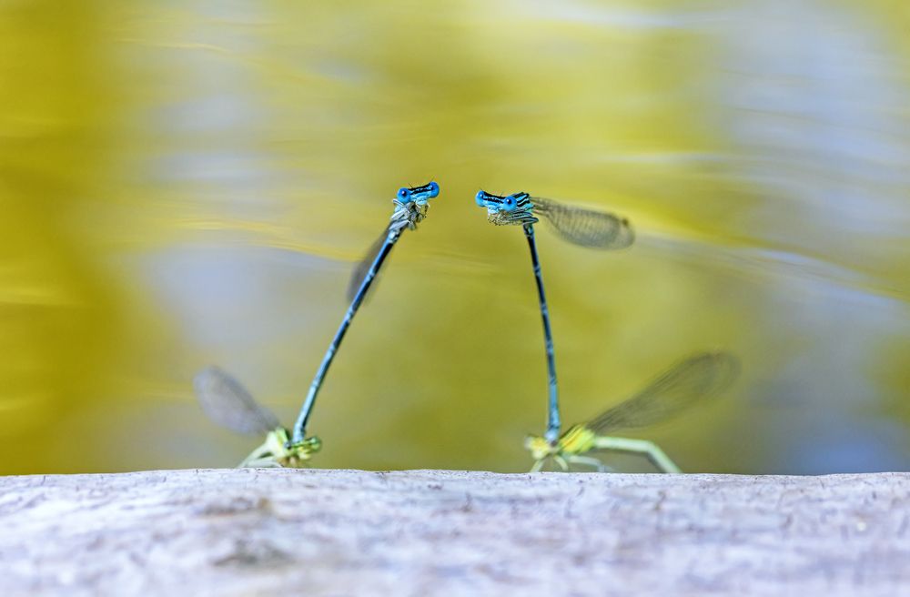Photograph by Наталья