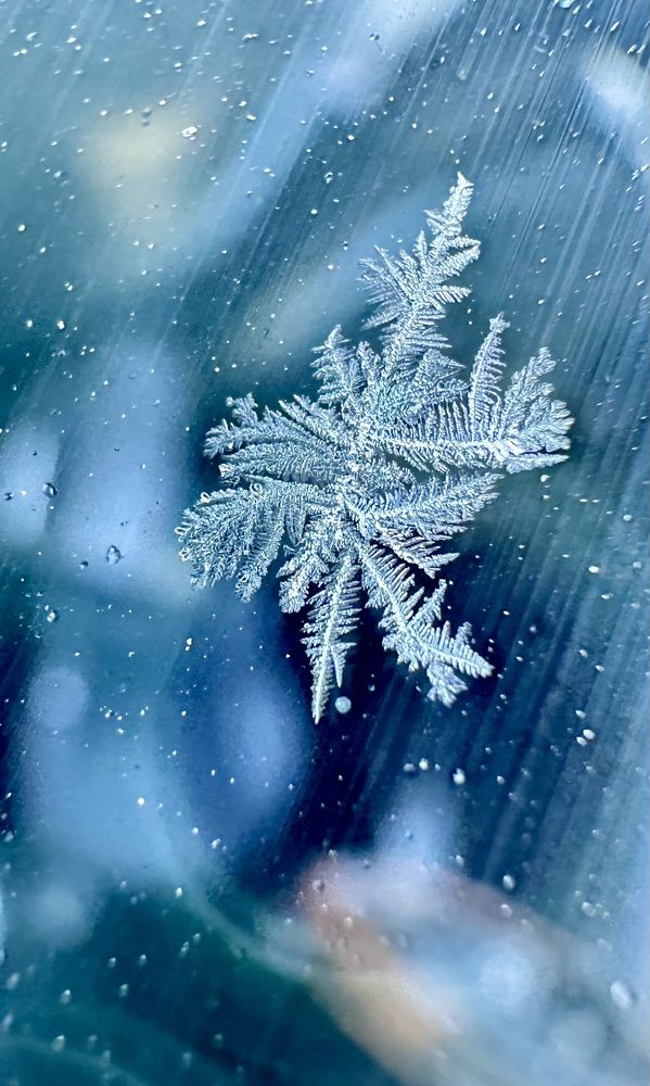 Photograph by Ульяна Селиванова