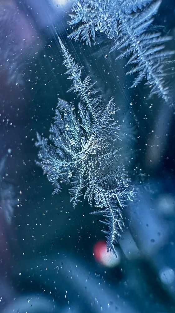 Photograph by Ульяна Селиванова