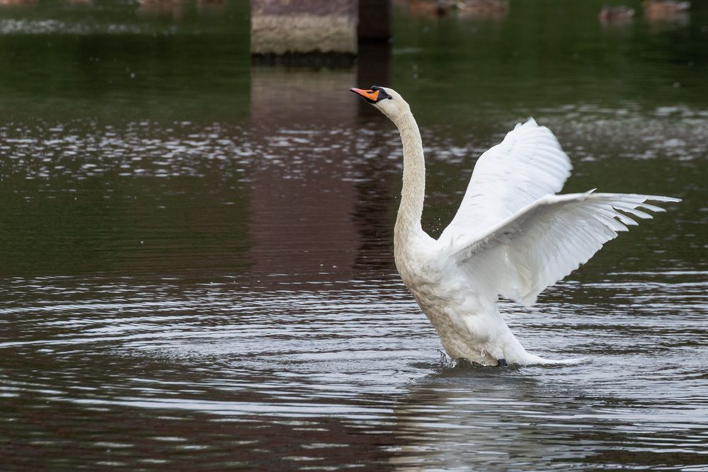 Photograph by Мамсур