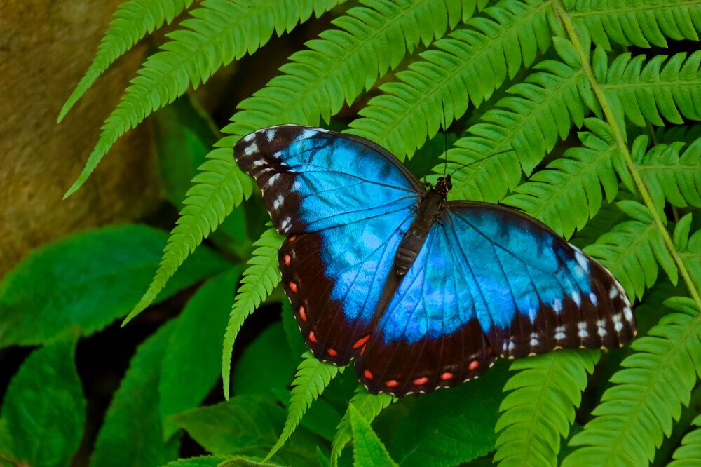 Фотография автора Светлана Долотова