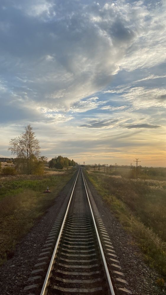 Фотография автора Ольга