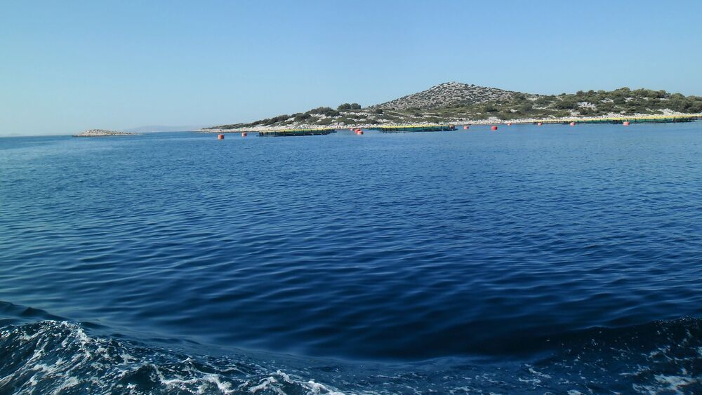 Photograph by Dmitrij Zykunov