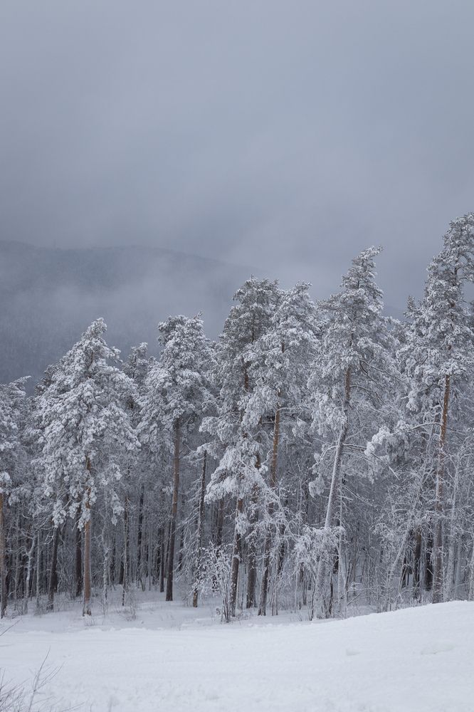 Photograph by Максим С.