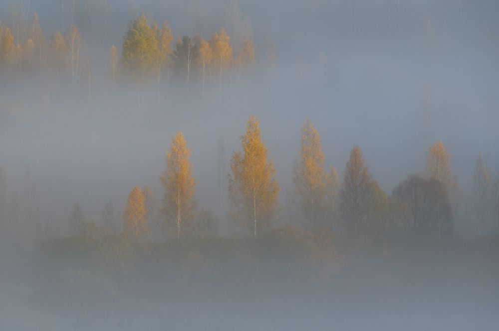 Photograph by Роман Фабричный