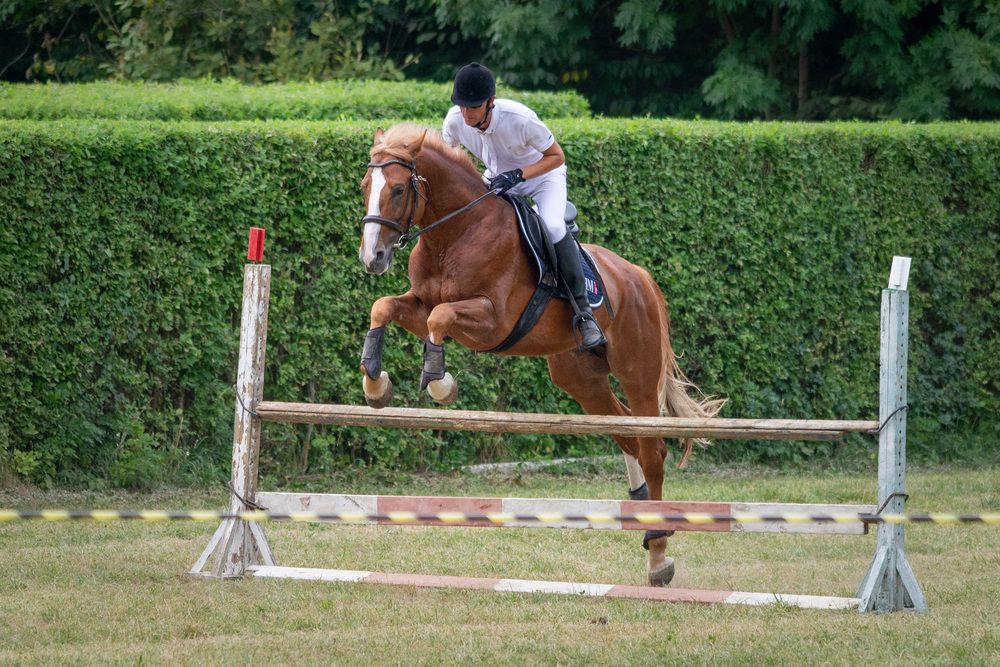 Photograph by Мамсур