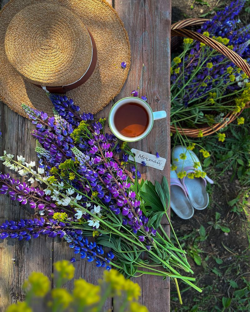 Photograph by Татьяна Ремизова