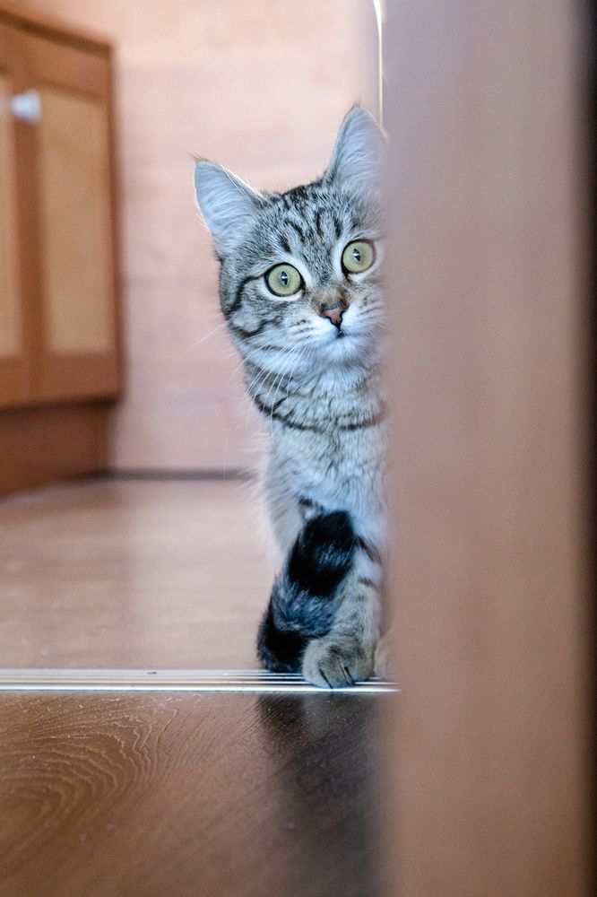 Photograph by Юлия Ташлыцкая